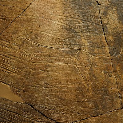 Λεπτομέρεια από μεγάλο αποθηκευτικό πίθο με αγχάρακτη παράσταση σκύλου. Πρώιμη Εποχή του Χαλκού, 2500-2100 π.Χ. Από το Ασκηταριό στην περιοχή της Ραφήνας Αττικής.