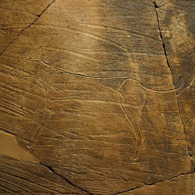 Detail from a large storage jar with the incised represantation of a dog. Early Bronze Age period, 2500-2100 BC. From Askitario in the Rafina district of Attica.